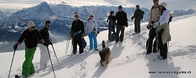 snowshoe trek